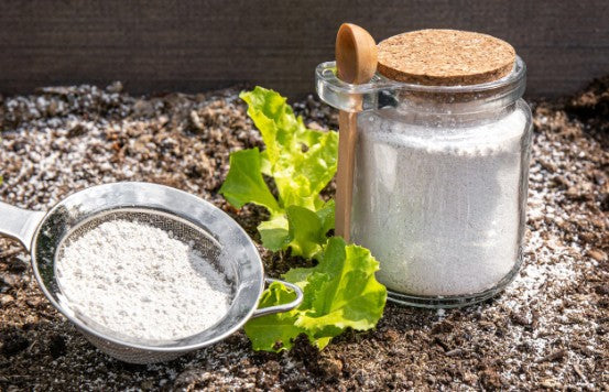 Nutrients, Fertilizers, Diatomaceous Earth
