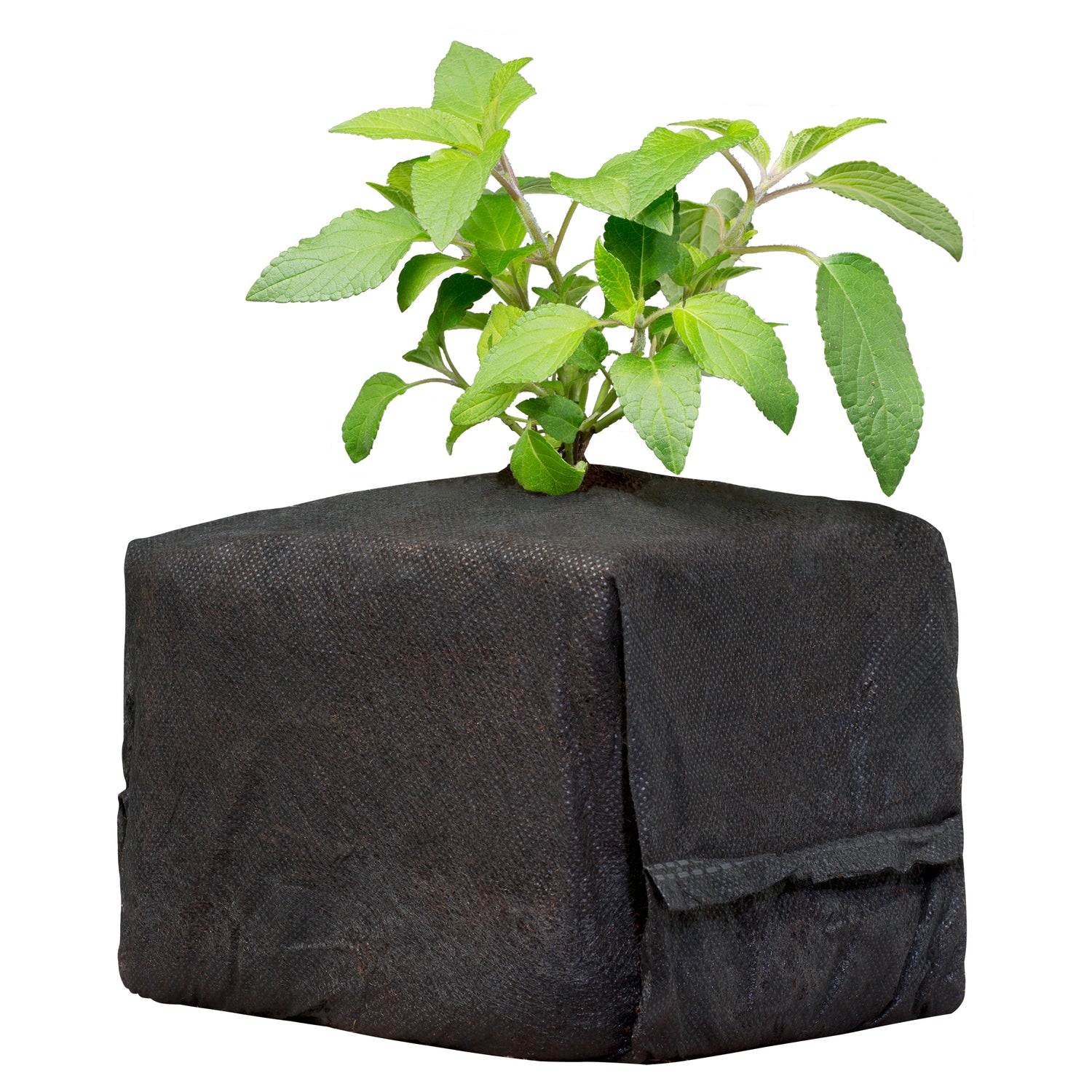 Rock Wool, Pots, Coco & Soil