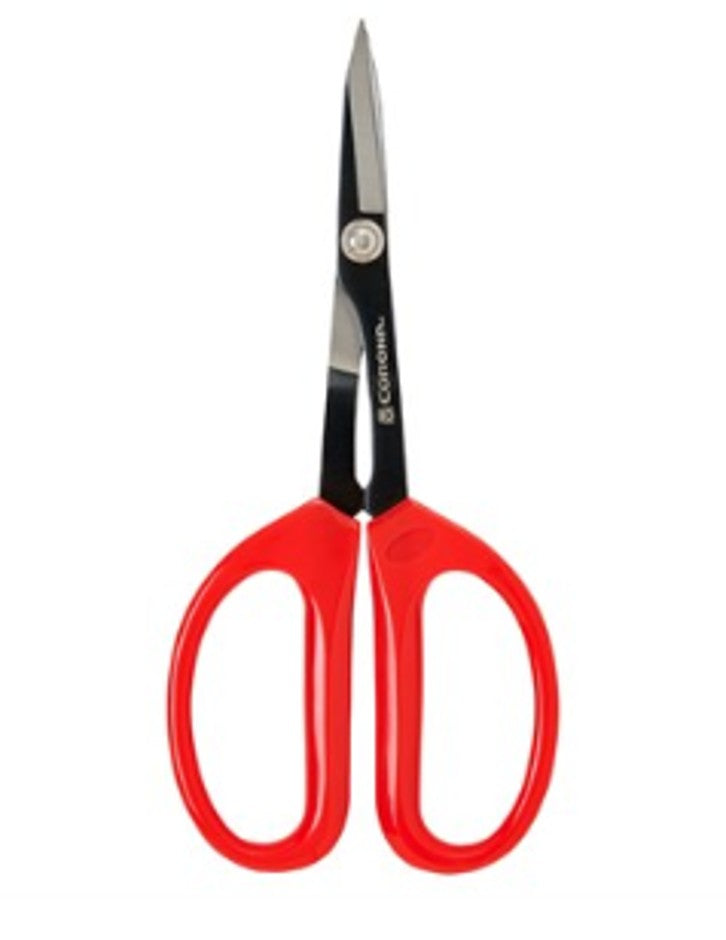 Corona® Precision Scissors Case of 6