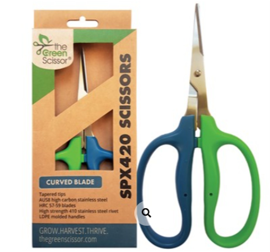 Green Scissor SPX420 Scissors - Curved - Uncoated