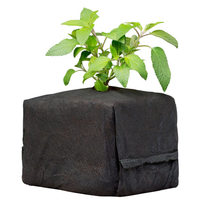 Botanicare® CocoPro Coir Cube 6x6x6 (30Ct)