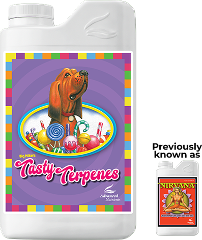 Tasty Terpenes 10L